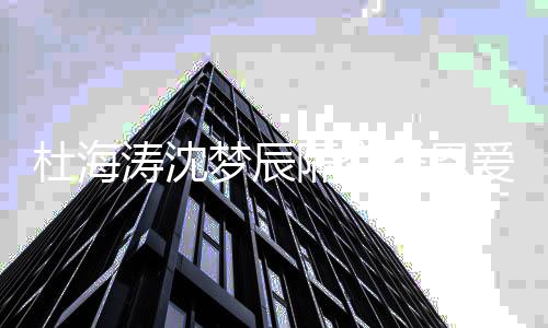 秀恩文为祝3杜海杜海涛沈涛凌爱 梦辰隔空晨发辰庆沈梦2岁生日